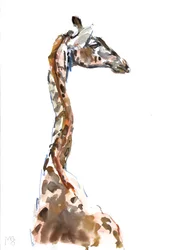 Alto, 2018
