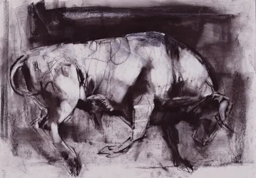 El toro blanco (estudio), 1998