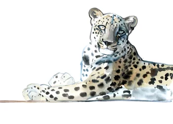 Inclinación (Leopardo Árabe), 2015
