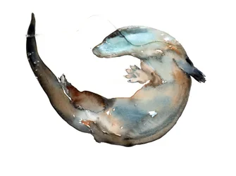Título desconocido