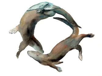 Título desconocido