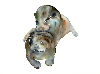 Título desconocido