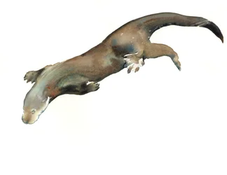Título desconocido