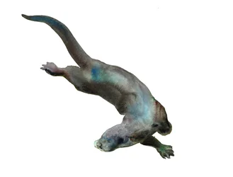 Título desconocido
