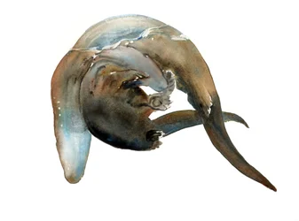 Título desconocido