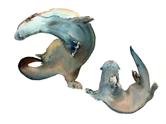 Título desconocido