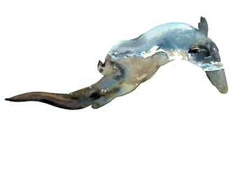 Título desconocido