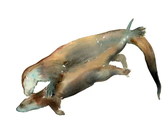 Título desconocido