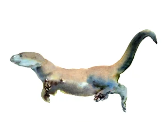 Título desconocido