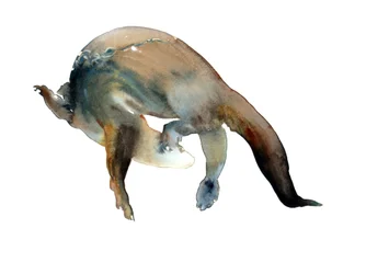 Título desconocido
