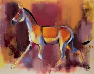 Asno salvaje, Rann de Kutch, 1996