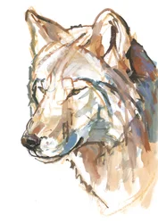 Lobo, 2018