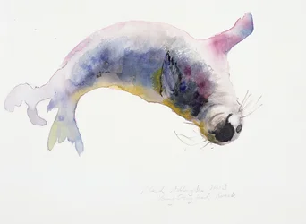 Joven foca gris, Gweek, 2003