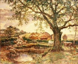 Almiar