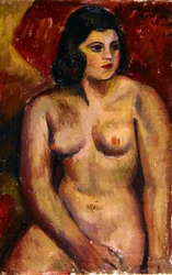 Estudio de un desnudo femenino