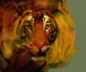 tigre