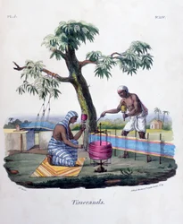 Tejedores, 1828