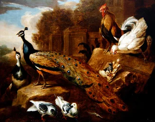 Pavos reales, palomas y otras aves, y un edificio clásico