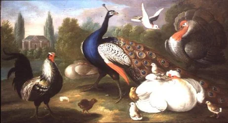 Un pavo real, un pavo, una gallina, un gallo y una paloma junto a un río