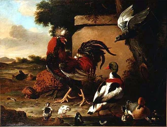 Gallo con patos, patitos y paloma