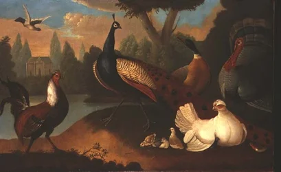 Paisaje con varios pájaros