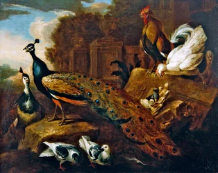 Pavos reales, palomas y otras aves, y un edificio clásico