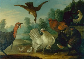 Aves de Corral en un Paisaje