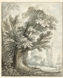 Paisaje con un árbol alto