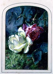 Rosas y una mariquita en un banco musgoso