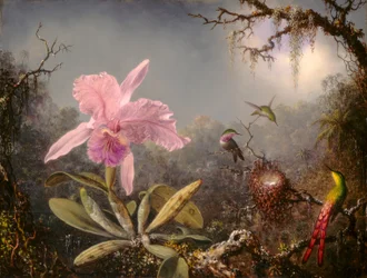 Orquídea Cattleya y tres colibríes