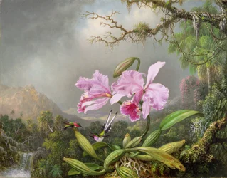 Estudio de una orquídea, 1872