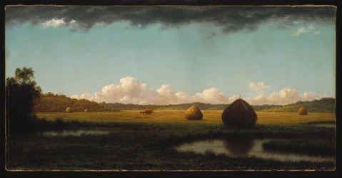 Lluvias de verano