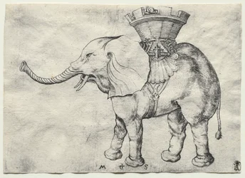 Un elefante con howdah