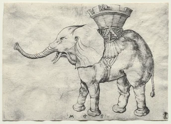Un elefante con Howdah, c. 1485