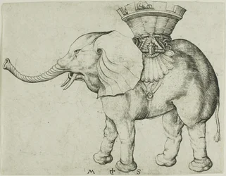 El elefante