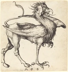 El Grifo