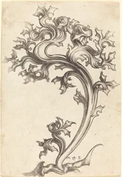 Ornamento de Cardo