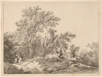 Paisaje con árbol roto