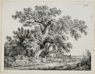 paisaje