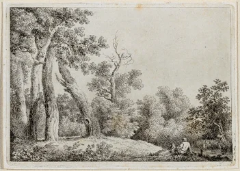paisaje