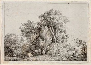 paisaje