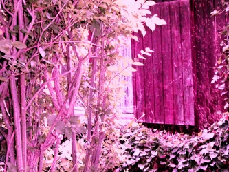 En la casa del jardín