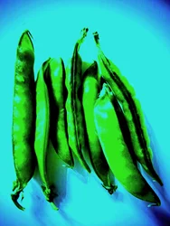 Vainas de guisantes
