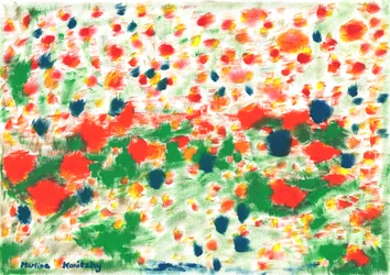 Amapolas y acianos
