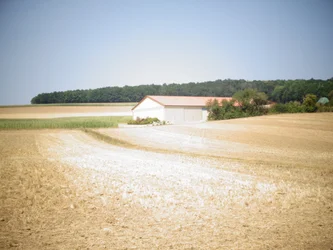 Verano