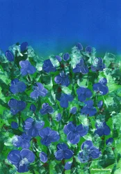 Violeta