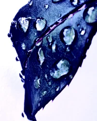 Gota de agua azul