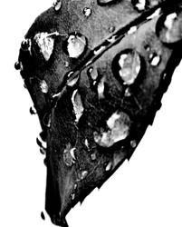 Gotas de agua grises