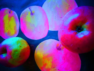 Manzanas4