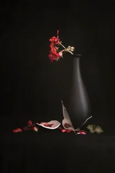 Jarrón roto con flores rojas